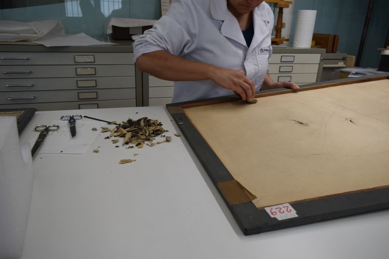 Disegni Poletti durante il restauro - pulizia con gomma di lattice vulcanizzato